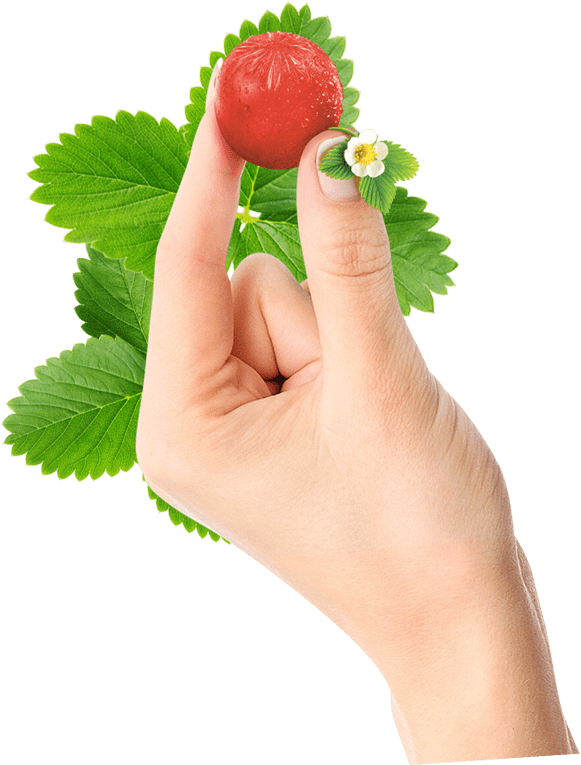 hand-left