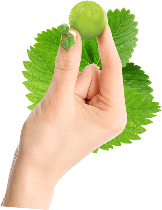 hand-right